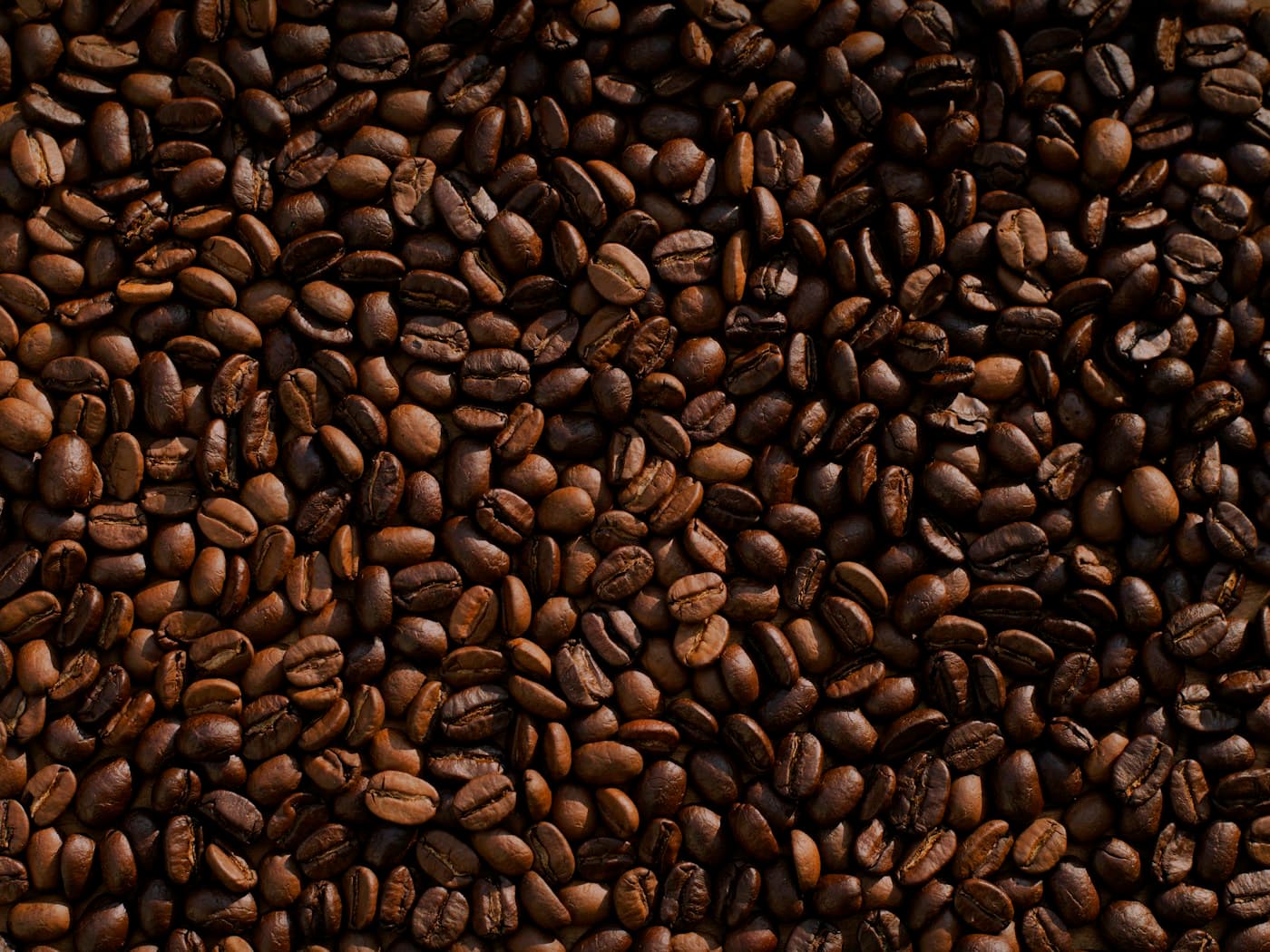 Brewing tools on the counter